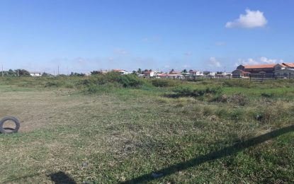 Youths calling on authorities to upgrade Tuschen playfield