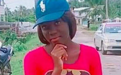 Ithaca man stabs wife to death, then tries to kill mother-in-law, self