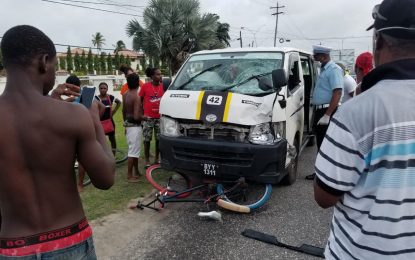 Fish vendor struck and killed by minibus at Houston