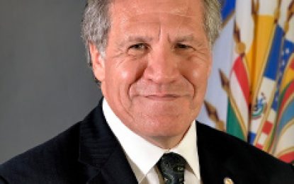 OAS willing to return and observe elections recount – Secretary General