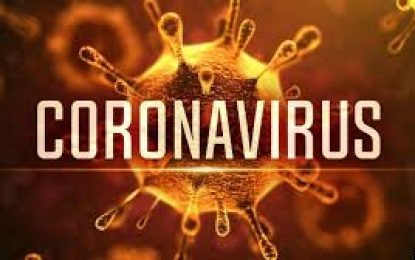 Health Ministry records two new cases of COVID -19