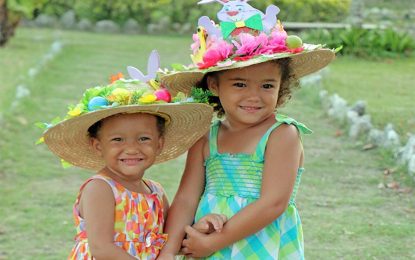 Inner Wheel Hat show goes virtual for 2020