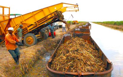GAWU appeals for temporary closure of sugar estates