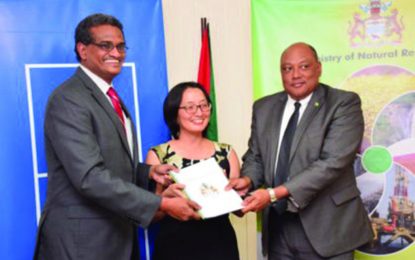 Govt. ignores expert’s advice to complete oil policy before law review