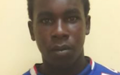 Labourer given three years jail for marijuana cultivation