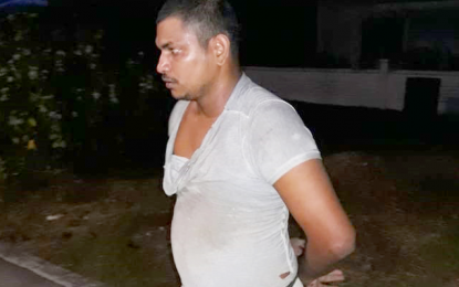 Captured cow thief turns out to be knife bandit