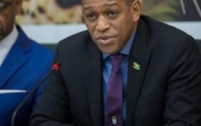 Guyana well advanced in “bringing gas to shore” – Energy Director