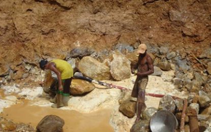 COVID-19 pandemic fight… Rupununi communities up pressure to close mining in Region 9 -15 illegal crossings blocked