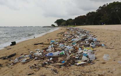 EPA engages businesses on proposed ban of single-use plastics