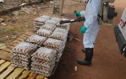 Close Brazil border for another 3 months – Rupununi businesses urge