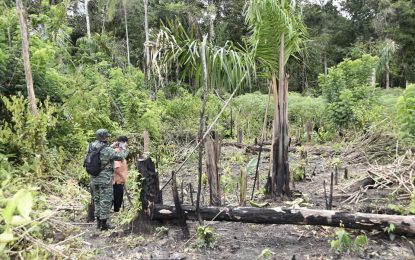 Disaster risk assessment conducted in Konashen District