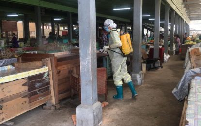 Woman suspected to be infected with COVID detained at New Amsterdam Market