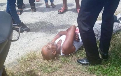 Sibling fight over land leaves one dead and one arrested