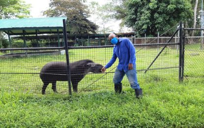 Measures being taken to protect zoo animals, workers