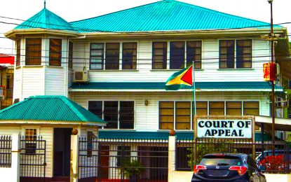 Motion filed in Appeal Court to stop Lowenfield’s report to GECOM Chair