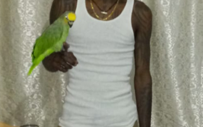 $100,000 reward offered for missing Canal man