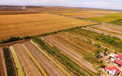 Region Six running out of money… Defer utility bills, give stipend to held citizens- Chairman