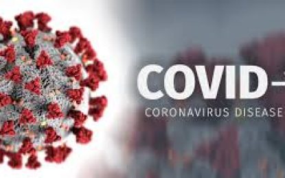 Five teachers among 12 who test positive for COVID-19 – cases increase to 183