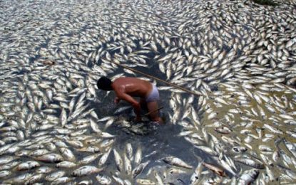 Collapsed dams… polluted rivers…  Chinese company buying Guyana Goldfields has horrifying environmental track record