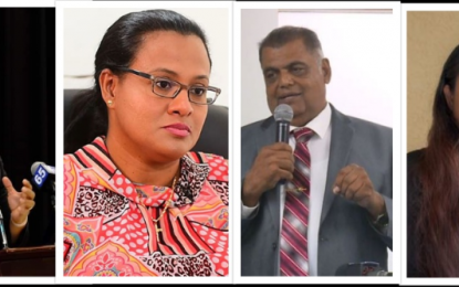 Four political parties demand Lowenfield to be fired