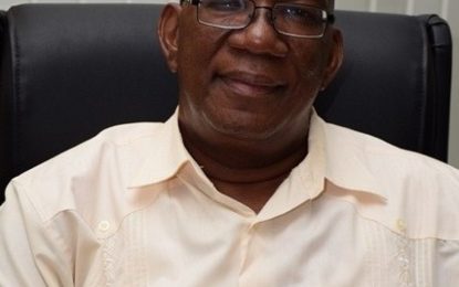 Public Security Ministry spends bulk of $35B budgeted for 2019 on infrastructural works