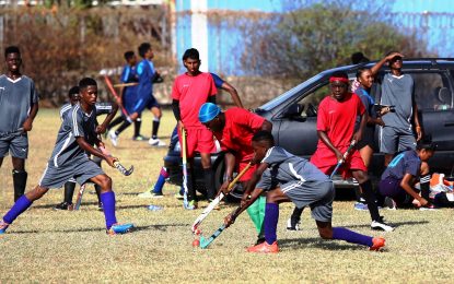 Pan Am youth games scheduled for April 2021