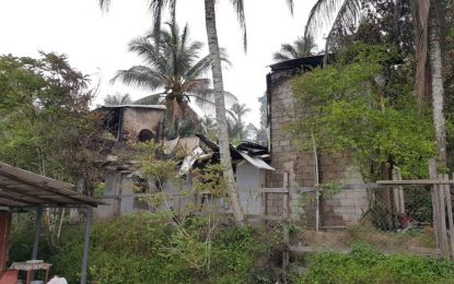 Mentally ill man sets house on fire.