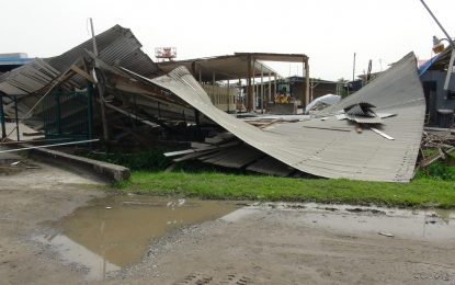 Investigations reveal ‘Bobcat’ caused deadly Banks DIH warehouse collapse