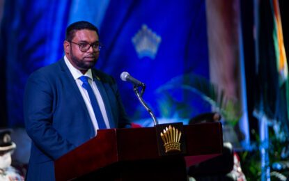 Govt. seeks intellectual authors behind elections fiasco