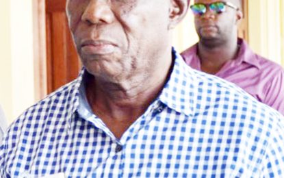 Lowenfield, Mingo exercise right to remain silent at elections CoI