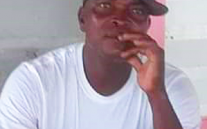 Ithaca man killed by son died from a stab wound to the liver