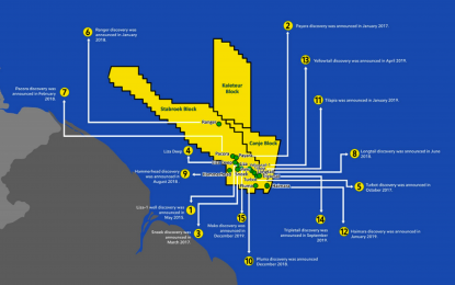 17 in Diaspora demand comprehensive review of oil sector