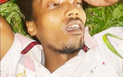 Bandit, 22, shot dead after Nandy Park robbery