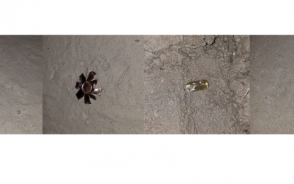 Guyanese Critic’s building riddled with bullets