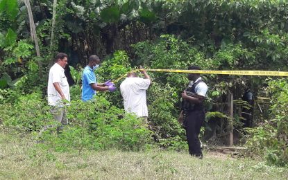 Maid’s other son participated in burning body of kidnapped Canadian