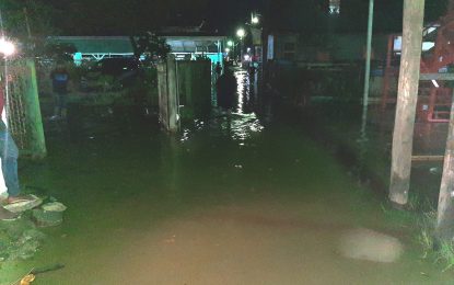Engineers scramble as spring tide collapses sluice door at Diamond/Grove