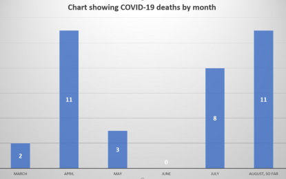 One in every four tested positive for COVID-19 in August – KNews Analysis