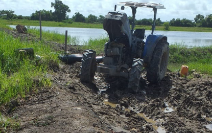 Berbice Rice Farmers ask for compensation after losing rice crops due to heavy flooding