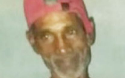 Labourer jumps over boss’s fence and dies