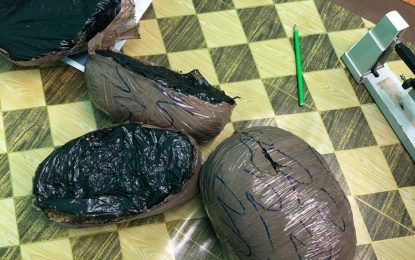 Man throws ganja bag over fence, runs away from cop