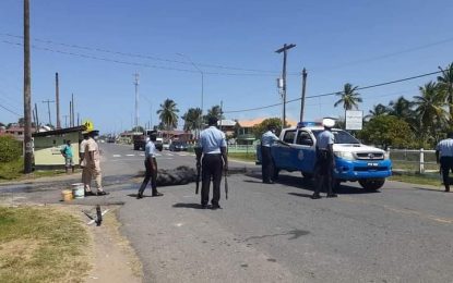 Protestors burn tyres, picket at Belladrum for the release of Mingo