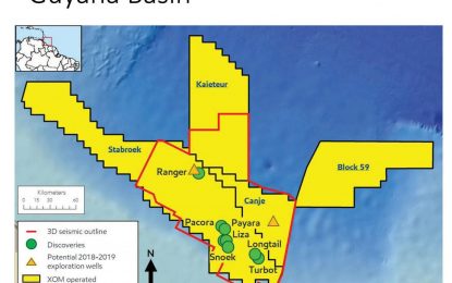 Canadian expert to complete Payara review in less than 10 days