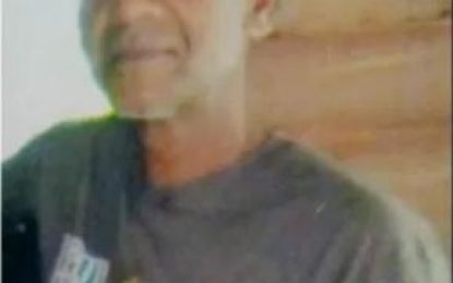 Pomeroon teen who stabbed brother-in-law to death; hospitalized five others, captured