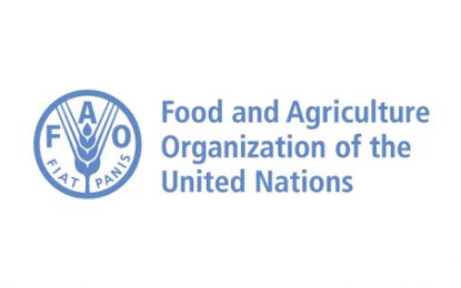 GMSA receives G$6M FAO grant for Consolidated Log Yard feasibility study