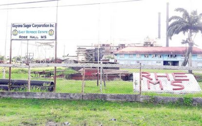 18 hectares of cultivation lands at Rose Hall Estate cleared for crop preparation