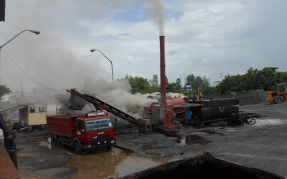 Gov’t launched investigations into asphalt plant racket