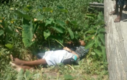 Body found in trench at BV