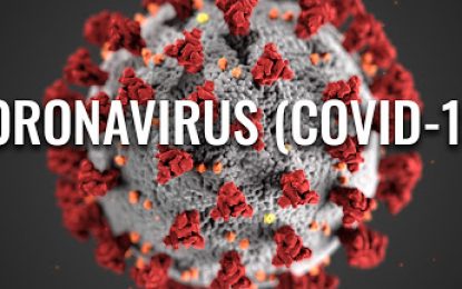 Nine new cases of COVID-19 infections