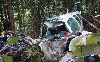 Body found on crashed plane identified