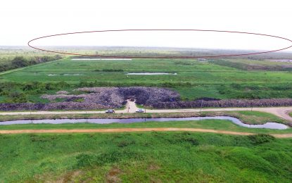 NICIL warns about selling lands in vicinity of proposed East Bank bypass